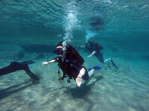 scuba-dive-1-46f06080711aba2ab803088578869dbf