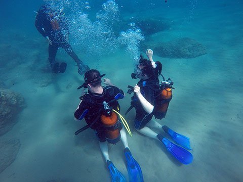 scuba-dive-3-a9005fdbce528d07de00be3f6b6ce14f